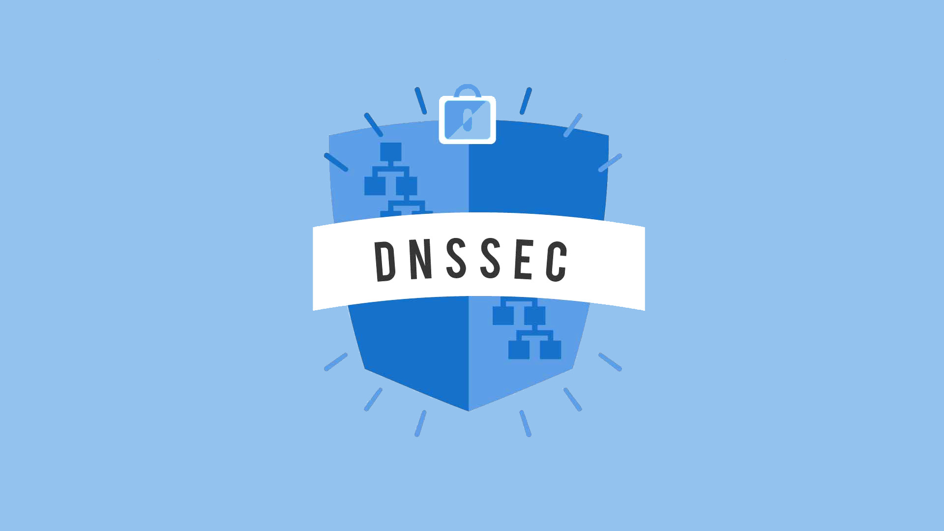 <strong class="title-strong">DNSSEC: </strong>Because Cybersecurity is for the Weak
